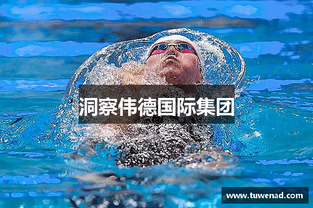 洞察伟德国际集团